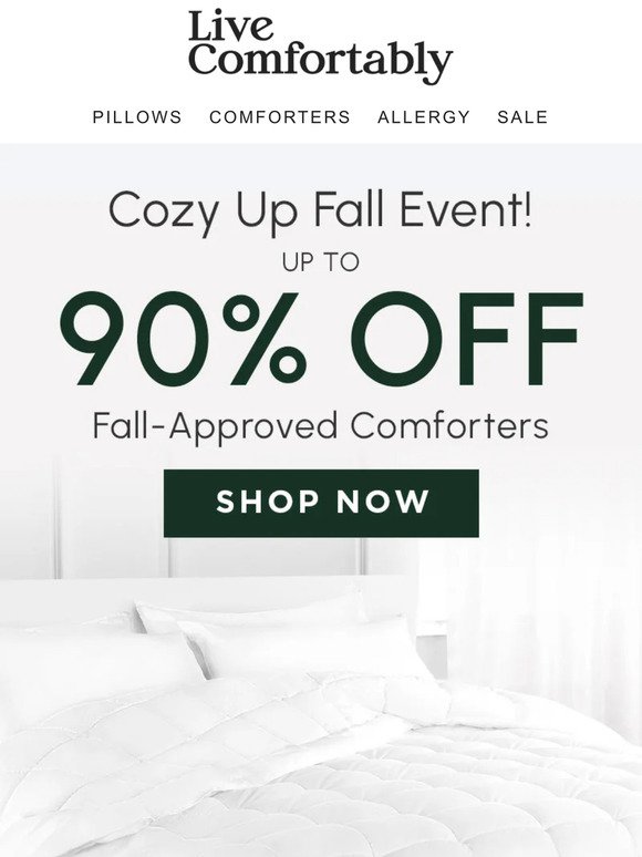 Looking For a Cozy New Comforter? We Got You Covered!