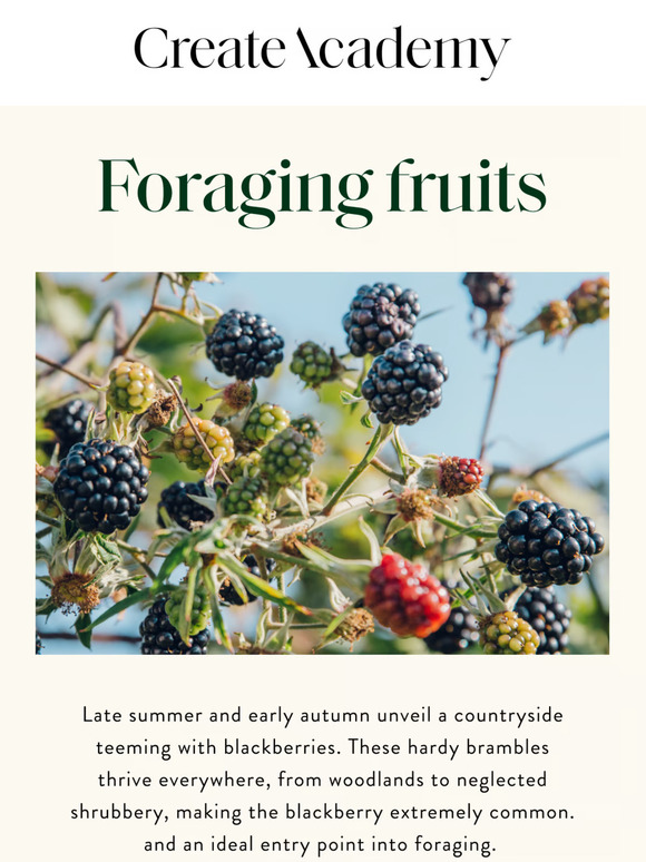 Foraging fruits
