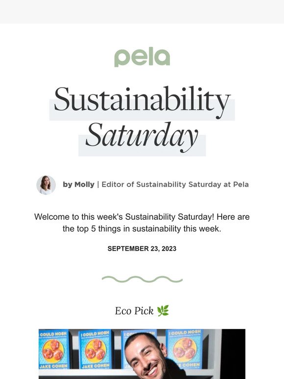 Sustainability Saturday | 10 Ways Paper Bags are Beneficial