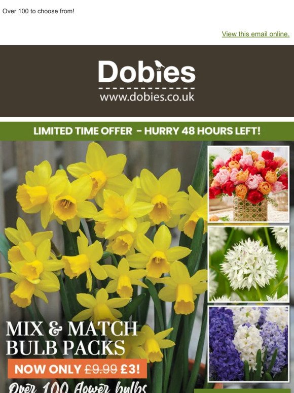 Only £3! Mix & Match Bulb Packs LAST 48 HOURS!