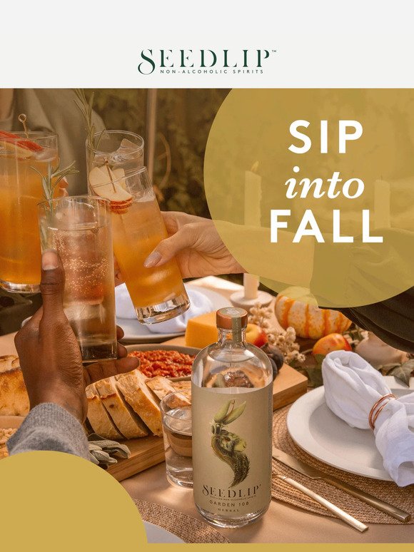 Sip into Fall 🍂