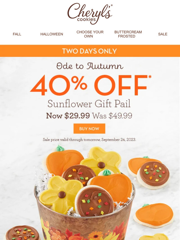 Hello, fall! Celebrate with 40% off our Sunflower Gift Pail.