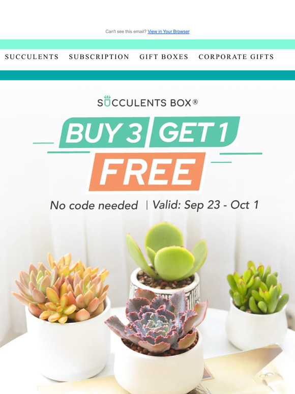 Get 4 Plants for the Price of 3!