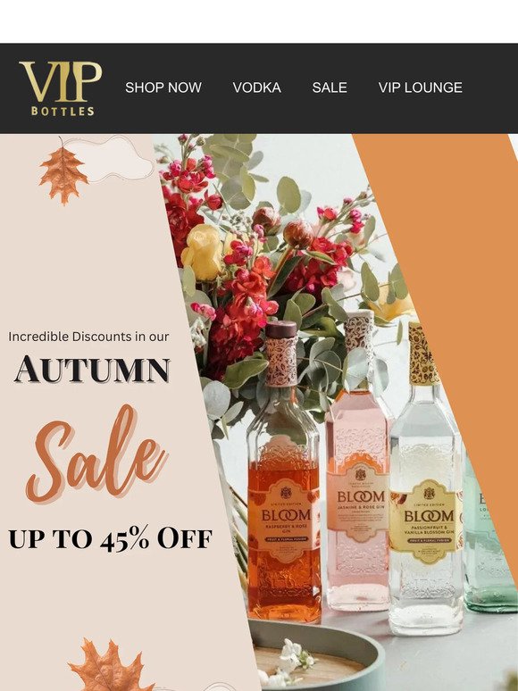 Autumn Bargains Now Available 🍁!