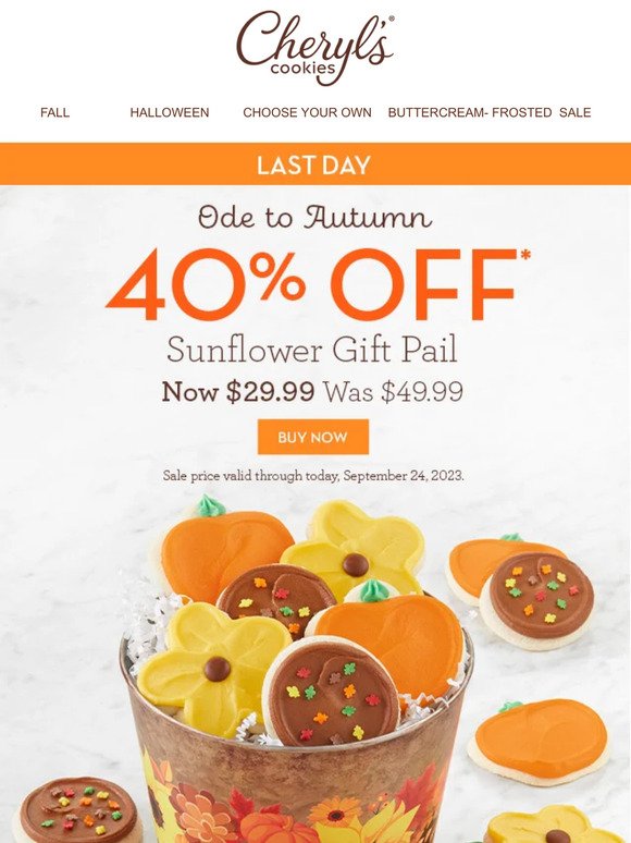 Last Day to get 40% off our Sunflower Gift Pail.