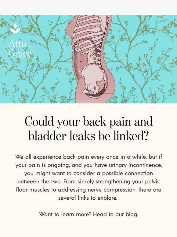 Back Pain and Bladder Leaks