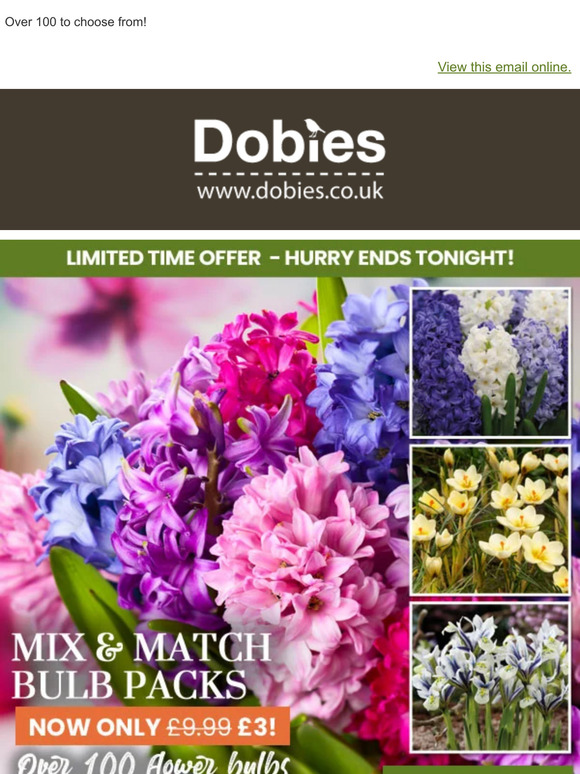 Only £3! Mix & Match Bulb Packs ENDS TONIGHT