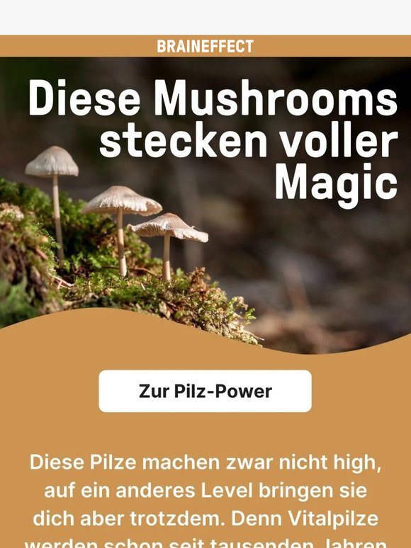 Magic Mushroom oder Mumpitz? 🍄