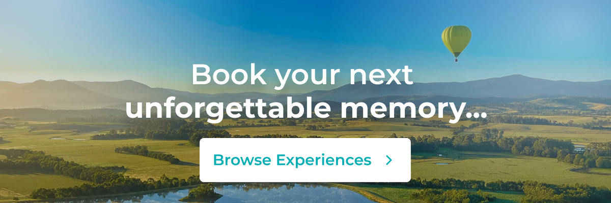 Uncover your next extraordinary adventure...