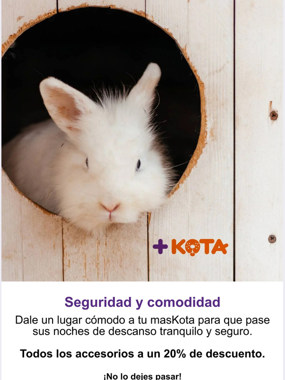 Dale un lugar cómodo para su descanso🐇