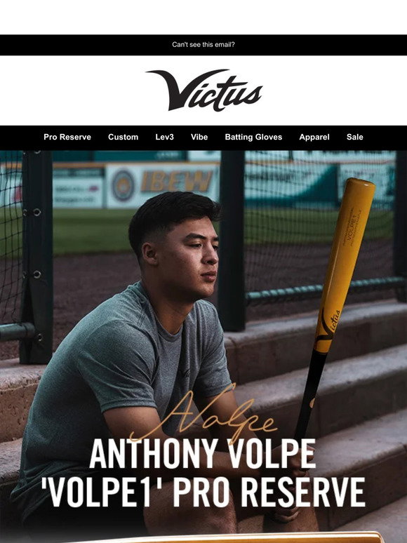Batte Baseball Victus Volpe1 2025 (-3) – érable, 33 Pouces, 30 Oz, Neuve