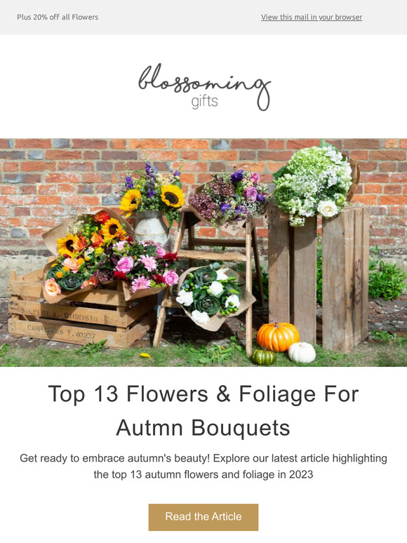 Your Guide to the 13 Trending Autumn Flowers & Foliage 🍃🌹