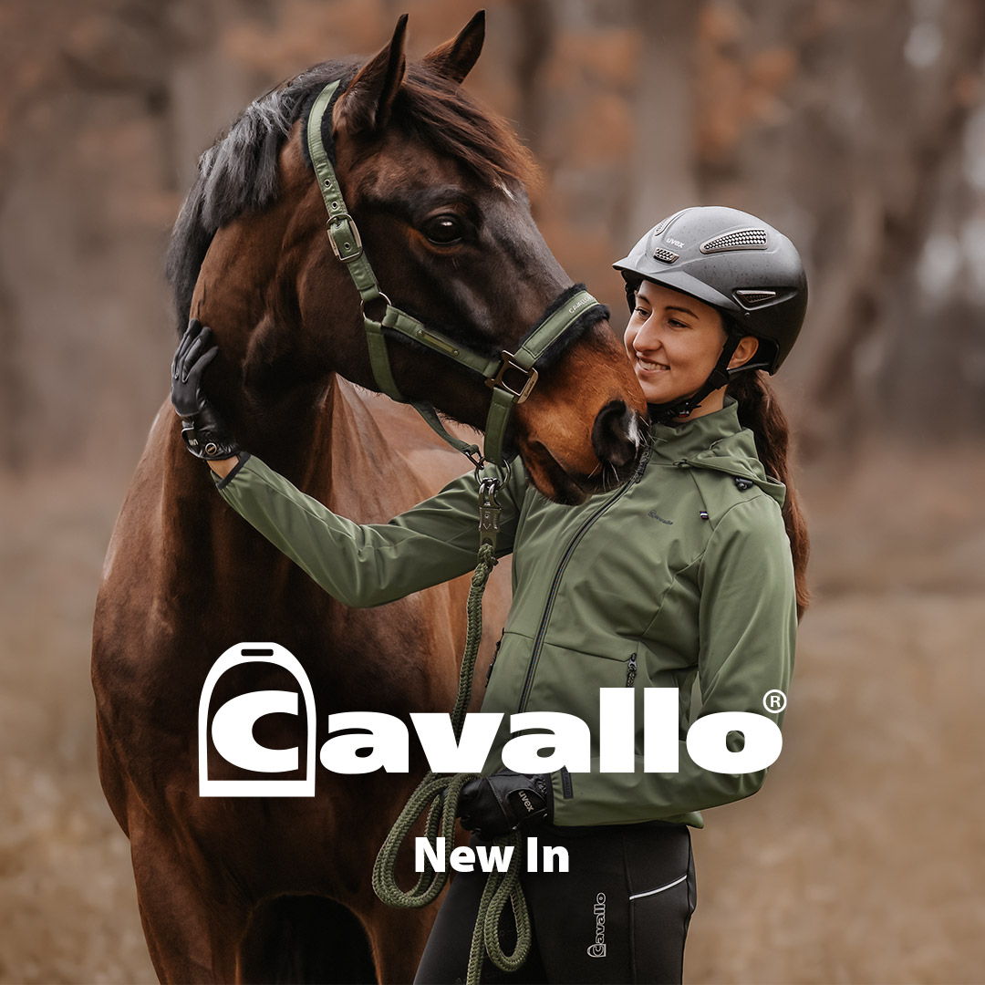 New In: Herbst/ Winter Kollektion CAVALLO
