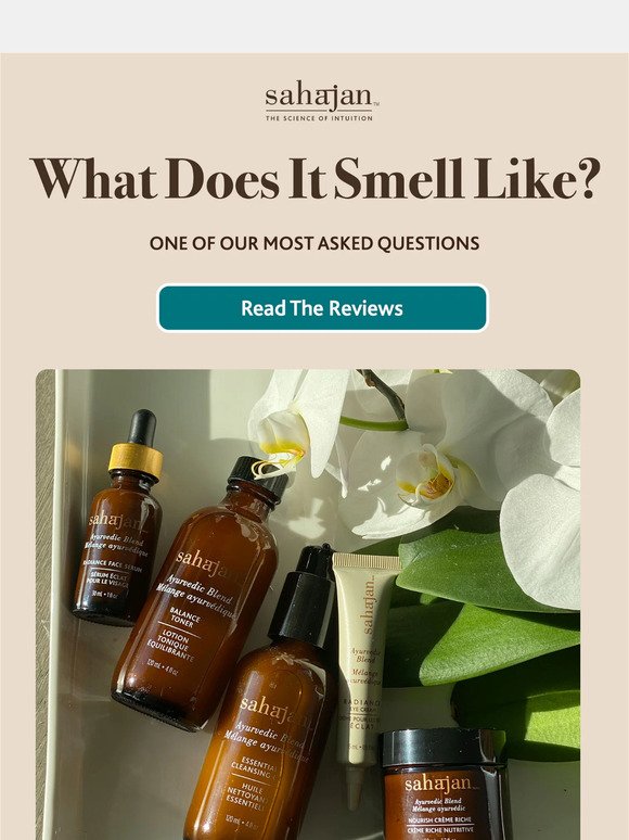 What Does It Smell Like? 🤔