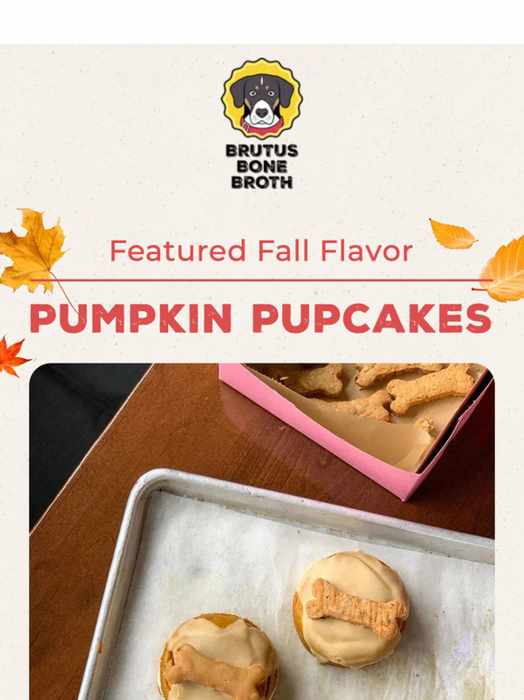 Dog-Friendly Pumpkin Pupcakes Recipe 🐶🧁