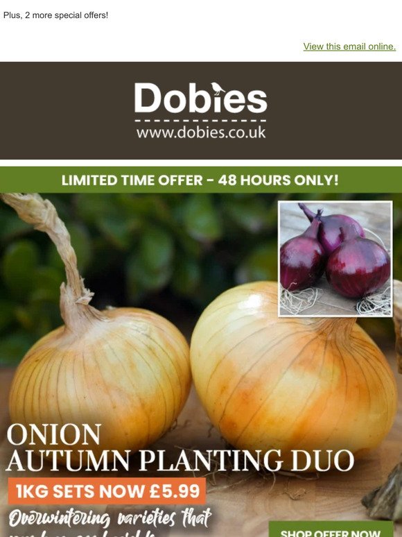 Autumn Planting Onion Duo Only £5.99!