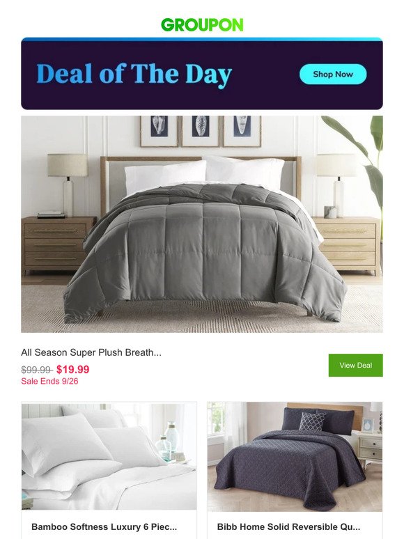 Don't Miss Out: the Deal of the Day is Only Here for...a Day, Duh!