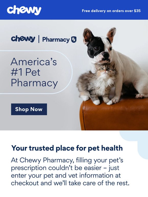 The pet sale at Chewy just extended — here's what to buy