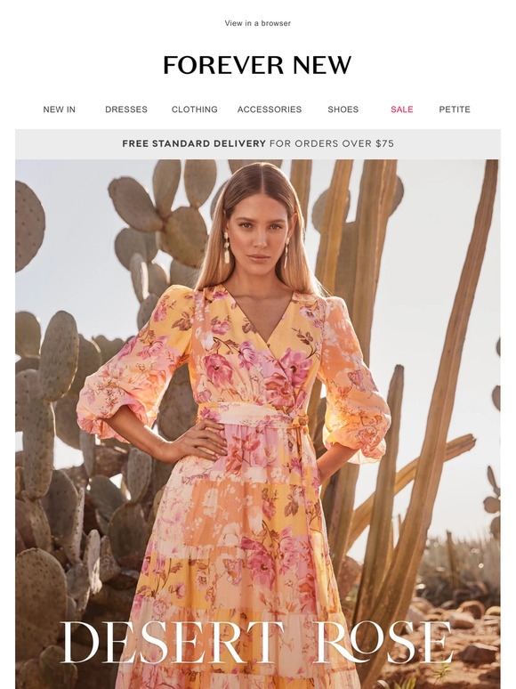 Our New Collection