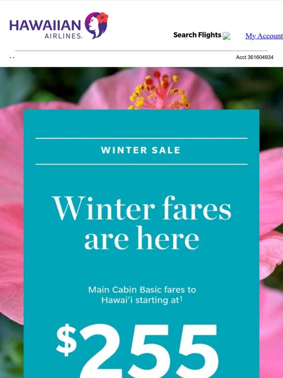 Winter travel is now on sale
