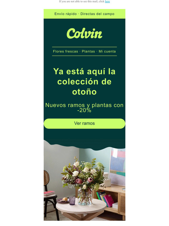 NUEVOS ramos de otoño con -20% 🍁