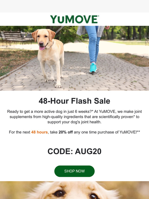 Flash Sale! Keep Your Dog Active with YuMOVE! 💪