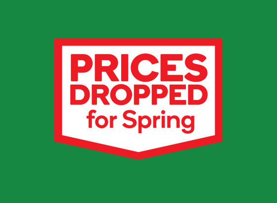 Prices Dropped for Spring