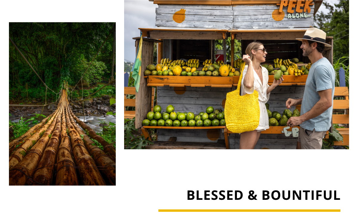 Blessed & Bountiful