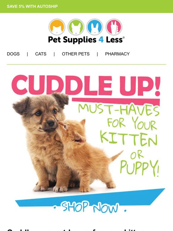 — 🤗 New fur baby cuddle up essentials!
