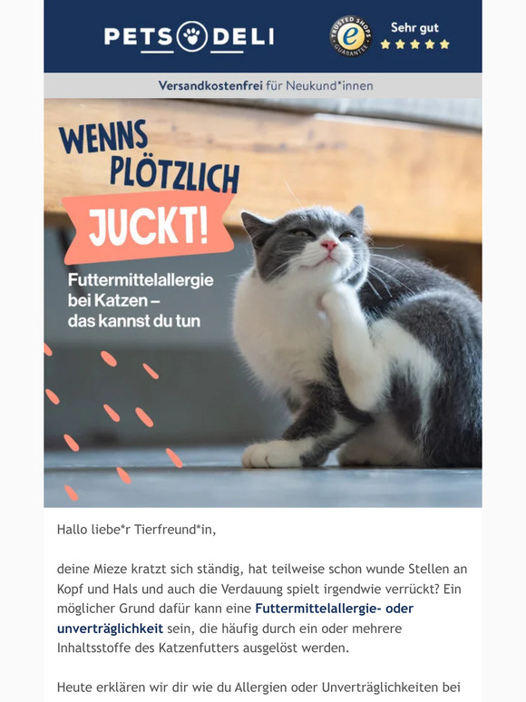 S.O.S. – meine Katze hat eine Futtermittelallergie!
