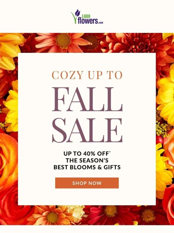 RSVP To Our Cozy-Up-To-Fall Sale