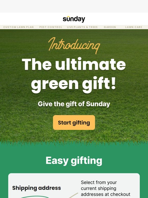 🎁 The greenest gift you'll ever give
