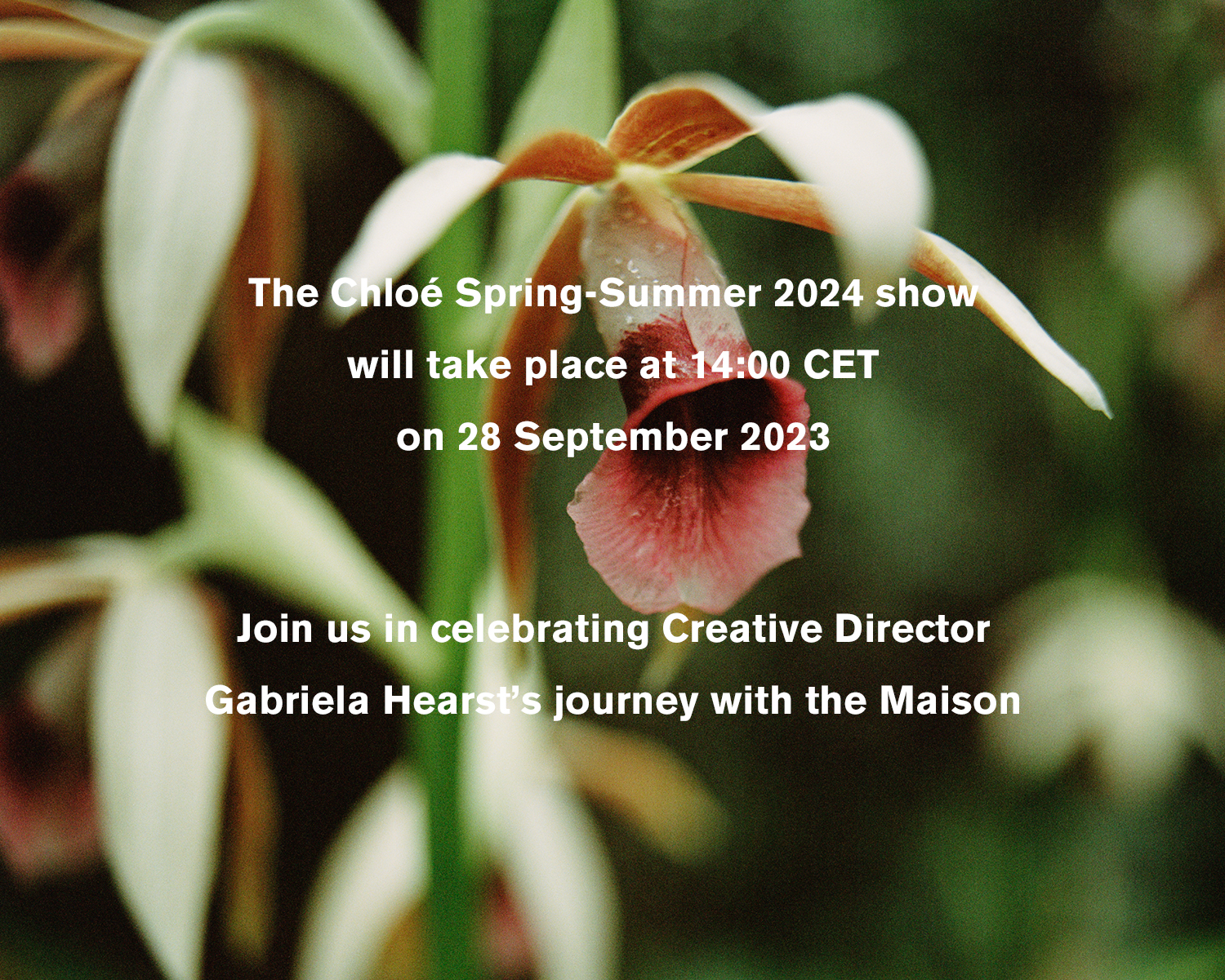 Chloé: The Spring-Summer 2024 show | Milled