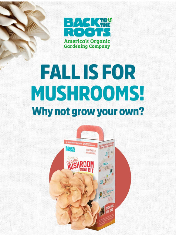 We’ve got your go-to fall Grow Kits 🍄