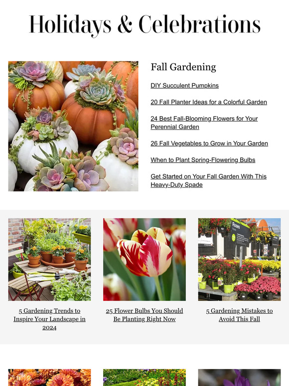 Better Homes and Gardens 25 Flower Bulbs You Should Be Planting Right