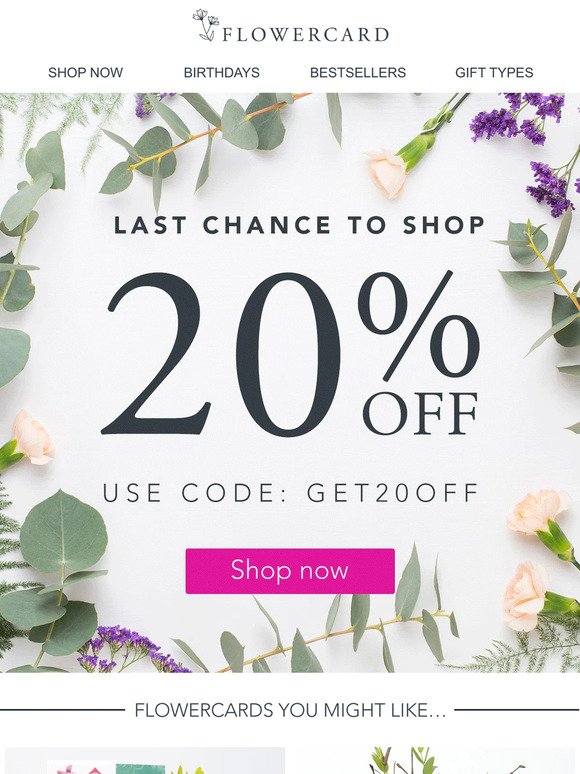 🌺 Last Chance for 20% Off 🌺 Don't miss out!