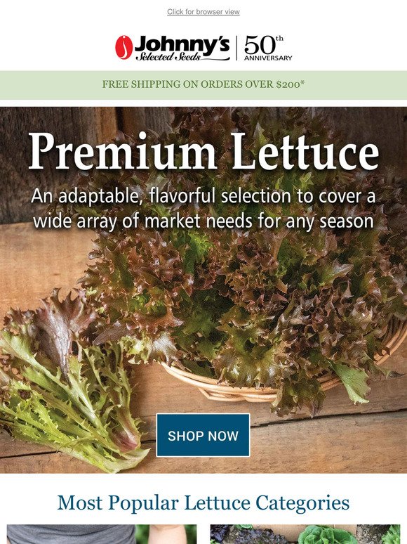 Grow Year-Round with Lettuce