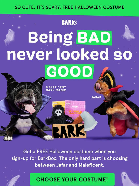 BarkBox Deal: FREE Squad Wearable Jersey With Space Jam Box! - Hello  Subscription