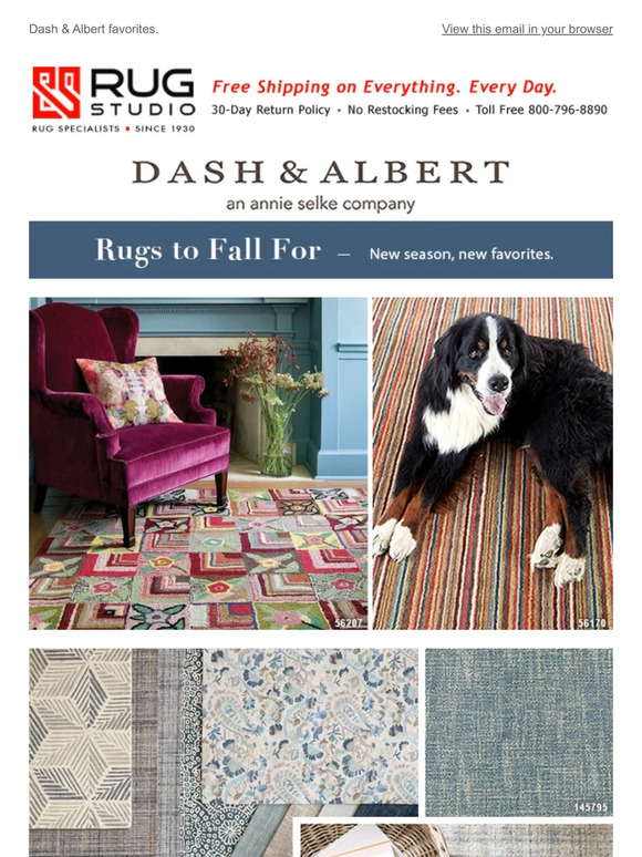 Dash & Albert Rugs
