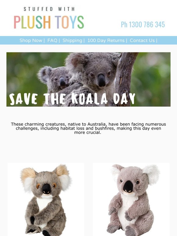 Koala fun facts to celebrate save the koala day