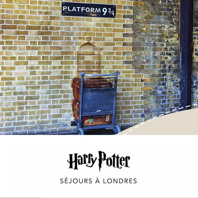HARRY POTTER