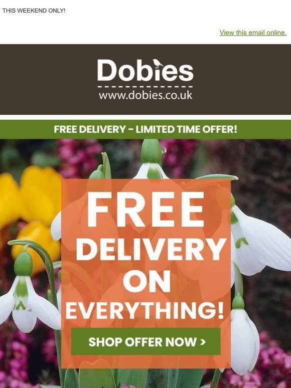 FREE DELIVERY on EVERYTHING!