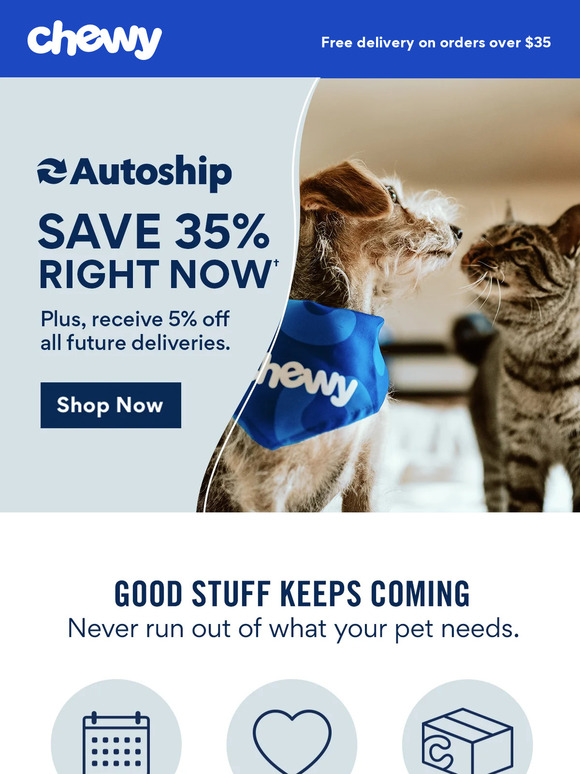 The pet sale at Chewy just extended — here's what to buy