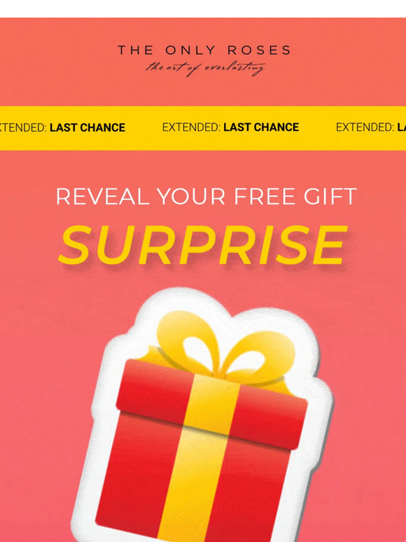 EXTENDED: 🌹Free Gift