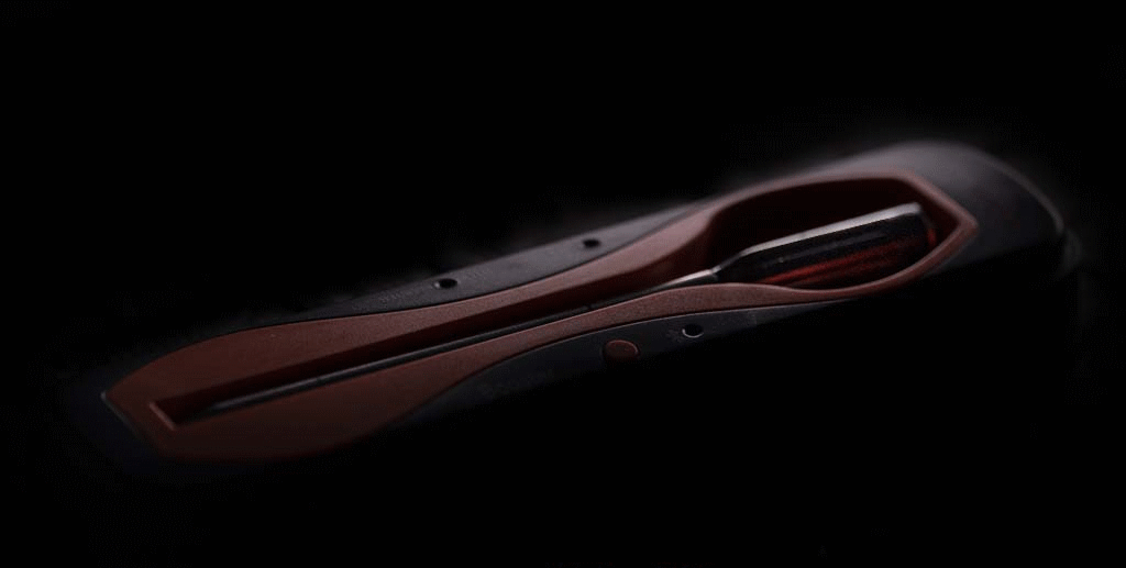 ThermoPro Stop Overcooking Steaks with the TempSpike🌡️Now 55.99 Milled