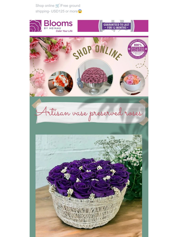 Blooms by Heinau® 👋NEW Exclusive designs / Artisan Vases/ Preserved