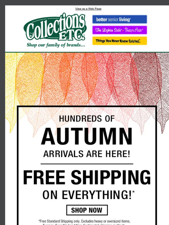 Fresh for Fall: Explore Our Latest Autumn Arrivals