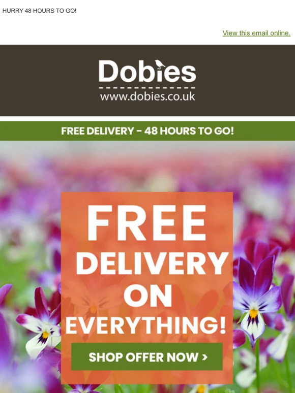 FREE DELIVERY on EVERYTHING! 48 HOURS TO GO!