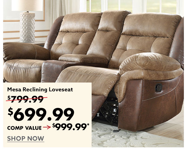  Mesa Reclining Loveseat