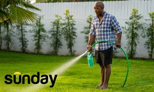 Lawn Care and Pest Protection Plans at Sunday Lawn care